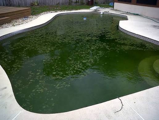 Green Pool