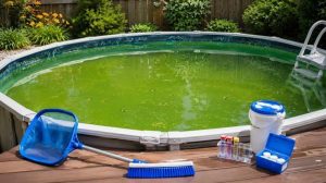 Pool Cleaner Green